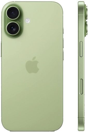 Смартфон iPhone 17 256Gb Sage (Шалфейно-зелёный)