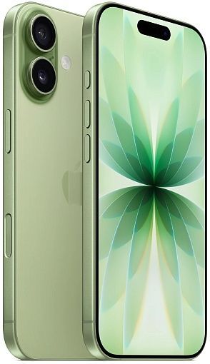 Смартфон iPhone 17 256Gb Sage (Шалфейно-зелёный)