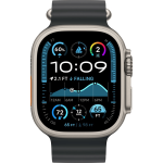 Умные часы Apple Watch Ultra 2 2024 49mm Natural Titanium Case with Black Ocean Band