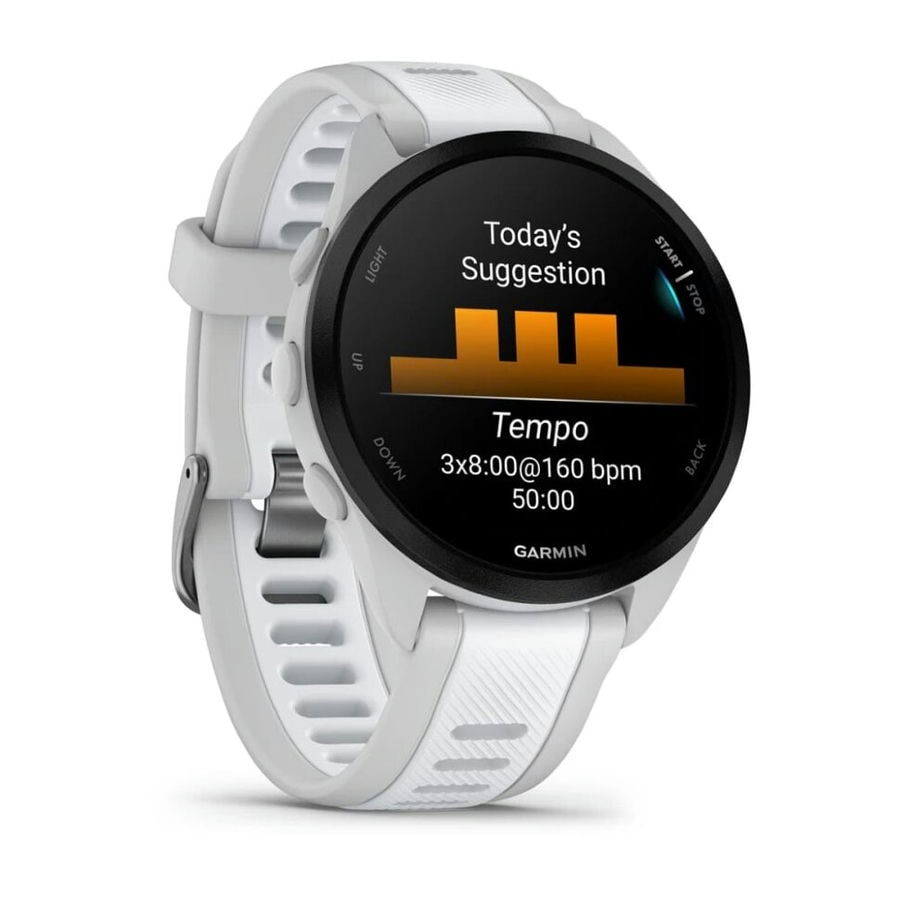 Умные часы Garmin Forerunner 165 Music Mist Gray/Whitestone (010-02863-31)