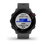 Умные часы Garmin Forerunner 55 Monterra Gray (010-02562-13)