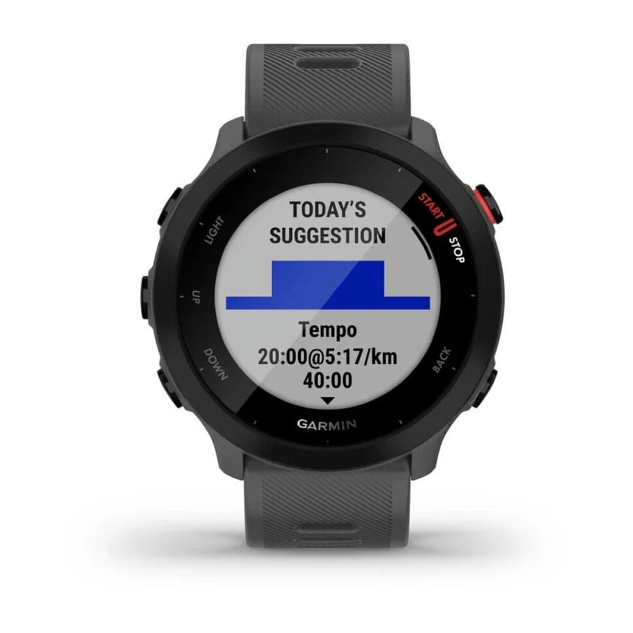 Умные часы Garmin Forerunner 55 Monterra Gray (010-02562-13)