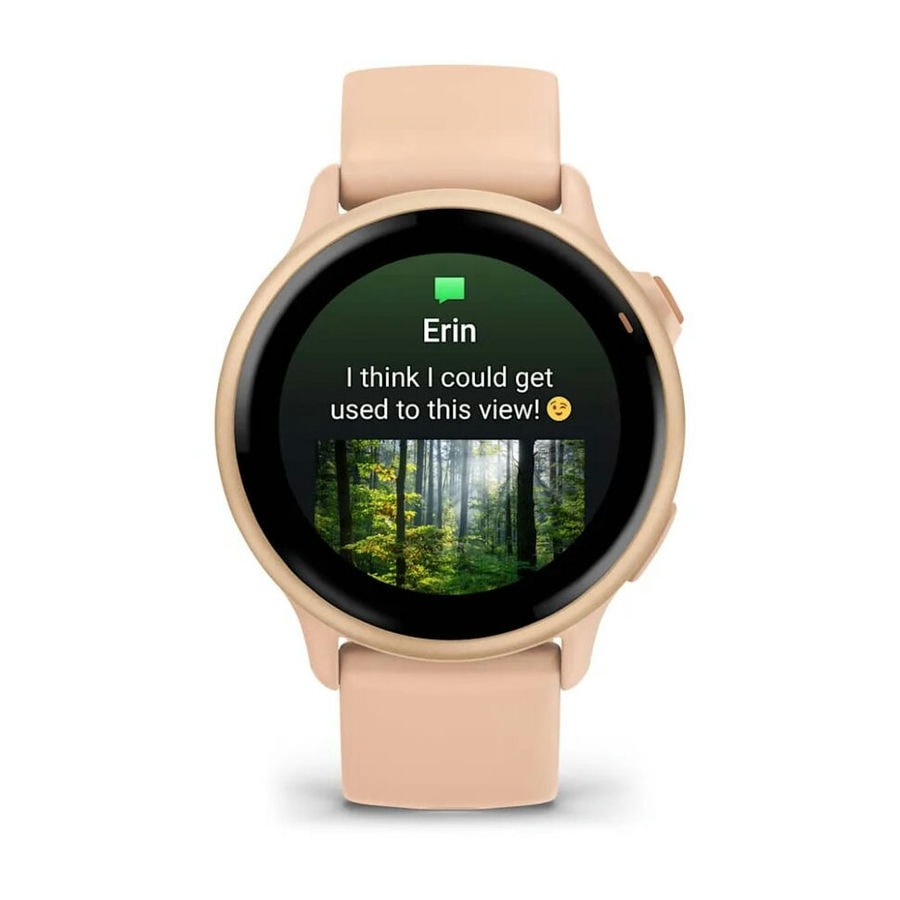 Умные часы Garmin Vivoactive 6 Metallic Pink Dawn with Pink Dawn Band (010-02985-03)