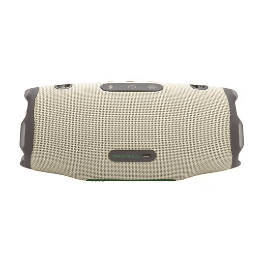 Портативная колонка JBL Charge 6 Песочный (Sand)