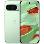 Смартфон Google Pixel 9 12/256GB Зеленый (Winter Green)