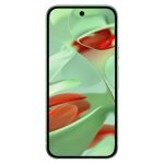 Смартфон Google Pixel 9 12/256GB Зеленый (Winter Green)