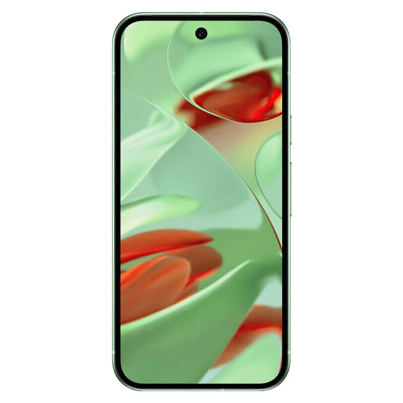 Смартфон Google Pixel 9 12/256GB Зеленый (Winter Green)