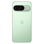 Смартфон Google Pixel 9 12/256GB Зеленый (Winter Green)