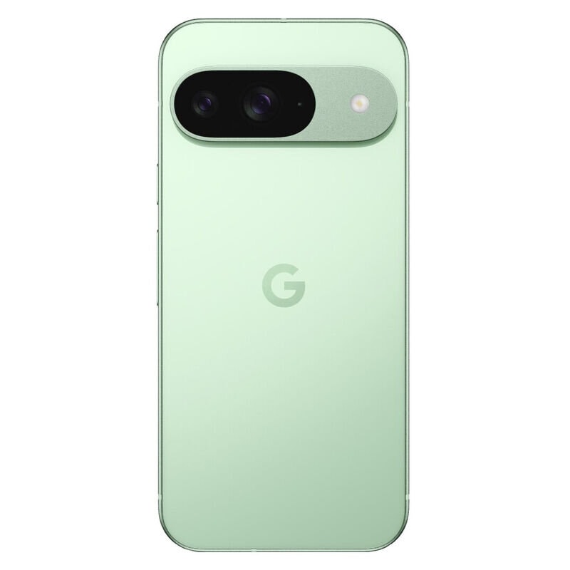 Смартфон Google Pixel 9 12/256GB Зеленый (Winter Green)