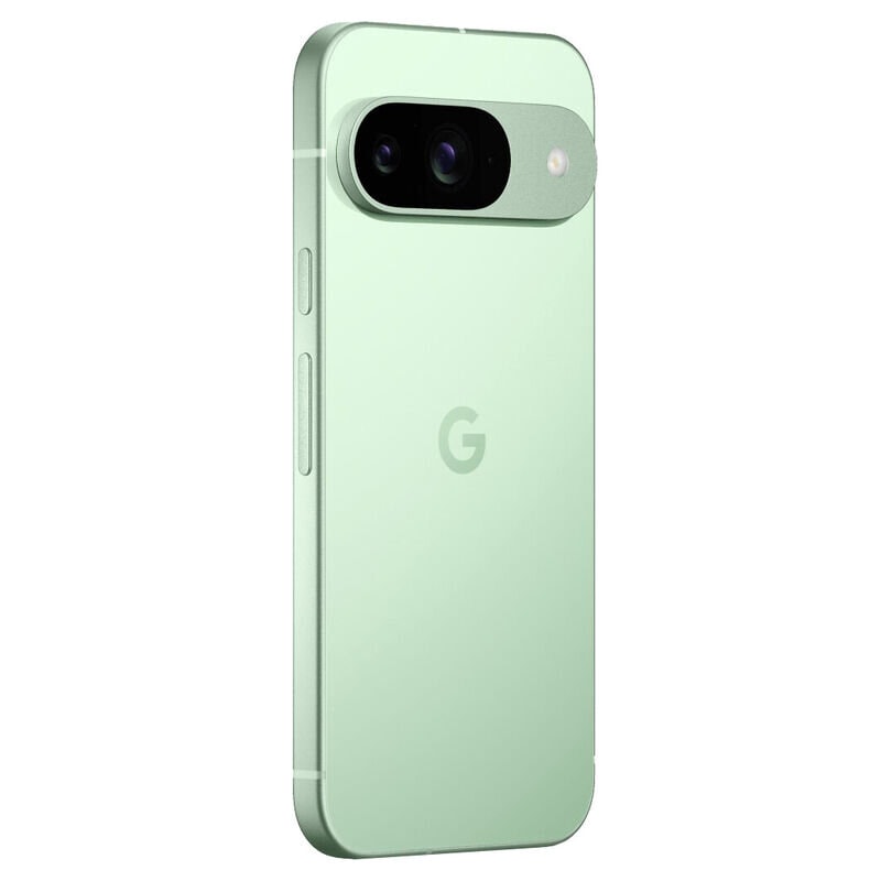 Смартфон Google Pixel 9 12/256GB Зеленый (Winter Green)