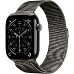 Умные часы Apple Watch Series 11 46mm Slate Titanium Case with Slate Milanese Loop (S/M)