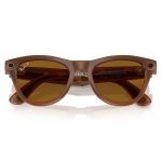 Умные очки Ray-Ban Skyler Shiny Caramel/Polar Brown (RW4010)